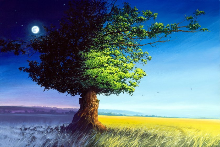 Daydreaming possibilities